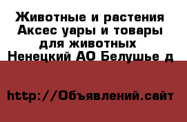 Животные и растения Аксесcуары и товары для животных. Ненецкий АО,Белушье д.